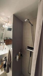 哥本哈根ApartmentInCopenhagen Apartment 1597的带淋浴和盥洗盆的浴室