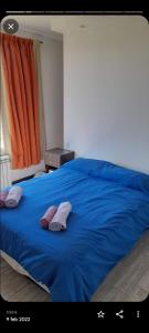 埃尔卡拉法特OLIEMI的一张蓝色的床,上面有两个枕头