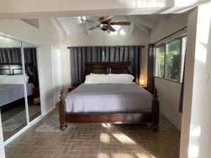 Cruz BayJJ's Getaway的一间卧室配有一张床和吊扇