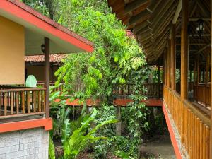 萨拉皮基沨竹萨尔瓦多酒店的一座绿墙的建筑,