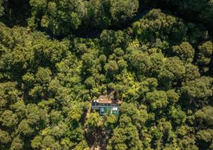 凯里凯里Mākoha PurePod的森林中间房屋的空中景观