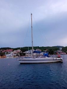 莱特鲁瓦西莱Joli voilier de 13m的一艘帆船坐在港口的水中