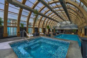 圣地亚哥圣地亚哥丽思卡尔顿酒店的一个带玻璃天花板的室内游泳池