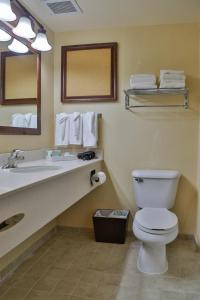 罗克斯普林Sweetwater Lodge - Rock Springs - Green River的一间带卫生间、水槽和镜子的浴室