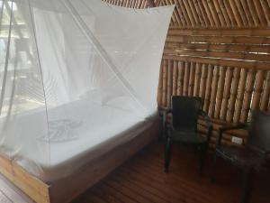 帕洛米诺Cabaña Beach Palomino的蚊帐间的床和椅子