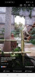 阿加迪尔Paradise Guest House的动物园里长颈鹿的照片