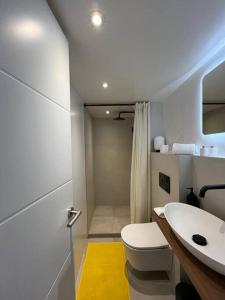 Saint BarthelemyAppartement 2 chambres en plein cœur de St Jean的浴室配有白色卫生间和盥洗盆。