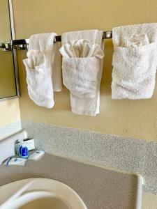 BoardmanRodeway Inn Boardman - Hermiston的卫生间上方毛巾架上挂着三条毛巾