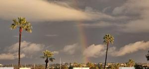 洛杉矶Marina View Suites的棕榈树云天中的彩虹