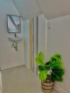 莫阿尔博阿Villa Lovi Panagsama Beach Moalboal的一间带水槽和盆栽植物的浴室