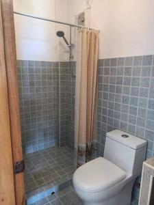邦劳Stanley House Seaview Apartments的一间带卫生间和淋浴的浴室