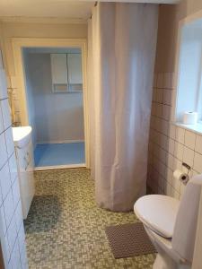 SpottrupCharming Summer Cottage Offers Idyllic Oasis的带淋浴帘和卫生间的浴室