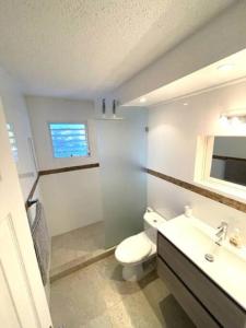 辛普森湾New* Tropical Modern Townhouse in SXM的一间带卫生间和水槽的浴室