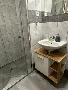科希策Apartmány Loky的一间带水槽和淋浴的浴室