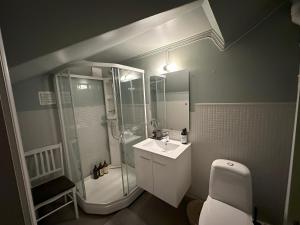 利勒哈默尔Stort hus sentralt i Lillehammer的带淋浴、盥洗盆和卫生间的浴室