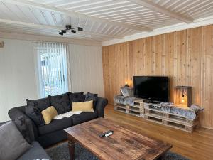 利勒哈默尔Stort hus sentralt i Lillehammer的带沙发和平面电视的客厅
