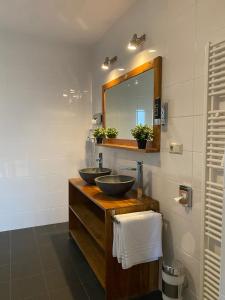 古尔彭Hotel Courage Gulpen-Wittem的浴室设有2个水槽和镜子