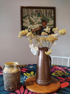 维伊勒佩Maison de village au calme axe Annecy - Genève的花瓶,坐在桌子上