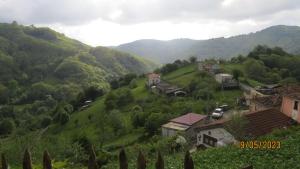 Casa Rural, paz y naturaleza.的绿色山丘上的小村庄,有房子
