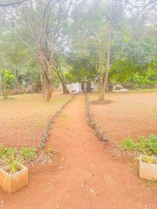 锡吉里亚Ima Villa Sigiriya的树木公园和建筑物中的土路