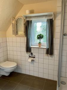 开姆尼茨Land & Leben Pension的一间带卫生间和窗户的浴室