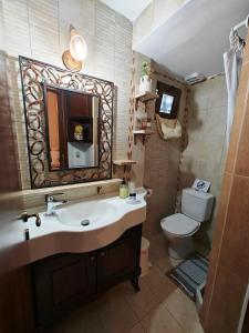 林都斯林甸宝石专属公寓酒店的一间带水槽、卫生间和镜子的浴室