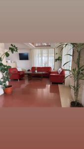 代日Hotel Elyon Dej的客厅配有红色沙发和电视