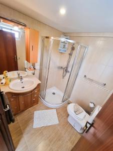 阿科达卡列塔Casa Torbit, Apartment in Arco da Calheta的带淋浴、卫生间和盥洗盆的浴室