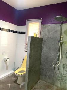 苏梅岛Jade cottages的带淋浴、卫生间和盥洗盆的浴室