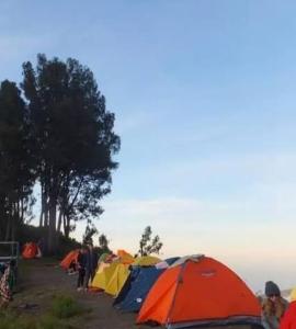 MasbagikRINJANI EXPEDITION BASECAMP的山丘顶上的一组帐篷