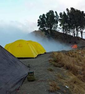 MasbagikRINJANI EXPEDITION BASECAMP的山丘上一组帐篷,有雾weather condition