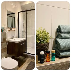 滨海卡特韦克尼科莱特公寓酒店的带淋浴、盥洗盆和卫生间的浴室