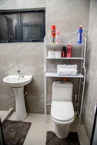 奇帕塔Modern Village Apartments的一间带卫生间和水槽的浴室