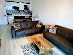 EtimesutEryaman, Wide Luxury Rezidance的客厅配有2张棕色沙发和咖啡桌