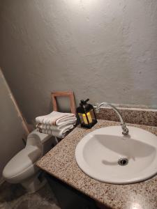 巴拿马城Fresco apto a 10 min del aeropuerto y la ciudad的一间带水槽和卫生间的浴室