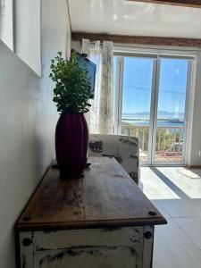 开普敦Blue Bay Studio Bayview的花瓶坐在木桌上,种植植物