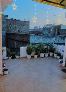 新德里Rooftop Floor with a big Room的一座种有盆栽植物和圣诞星的庭院