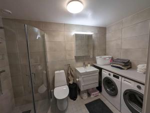 韦克舍Central apartment with a view的浴室配有卫生间、盥洗盆和洗衣机。