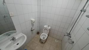金贾Arise Africa International Christian Guesthouse的一间带卫生间和水槽的小浴室