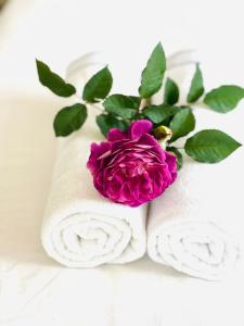头顿An's Home Hotel Vũng Tàu的两条白色毛巾,上面有粉红色玫瑰