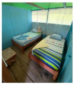MazánAmazon tucuxi的一间卧室配有两张床,里面装有泰迪熊
