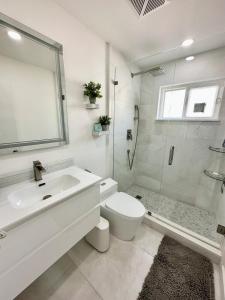 达尼亚滩Good Vibes House with private pool的一间带水槽、卫生间和淋浴的浴室