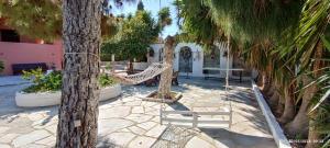 爱琴娜岛Aegina town, summer house的棕榈树和庭院吊床的度假村