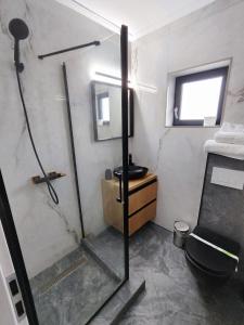 DrăgăşaniComplex Braniște的带淋浴和卫生间的小浴室