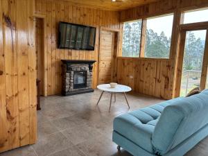 拉塔昆加Country home with grill的带沙发和壁炉的客厅