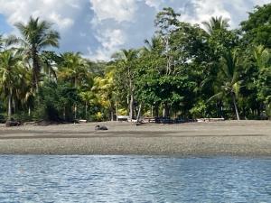 希门尼斯港Cabina Del Sol的棕榈树和水的海滩