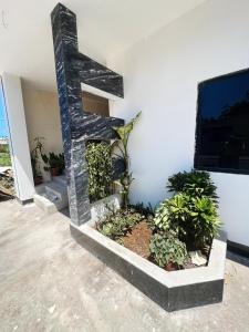 巴克里索莫雷诺港CASA DE EIMY的客房设有带植物的壁炉和电视。
