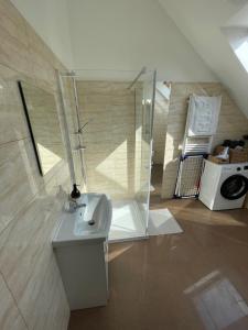 希隆斯克地区宗布科维采Apartamenty Świerkowa #2的一间带水槽和玻璃淋浴的浴室
