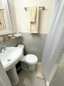 纽约达芬奇酒店 的浴室配有白色卫生间和盥洗盆。
