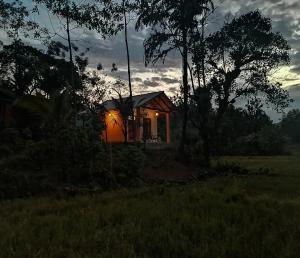 代尼耶耶Sinharaja Serenity的田野上灯火通明的小房子